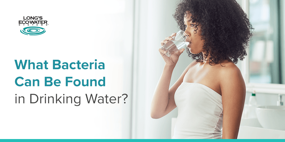 microorganisms in drinking water