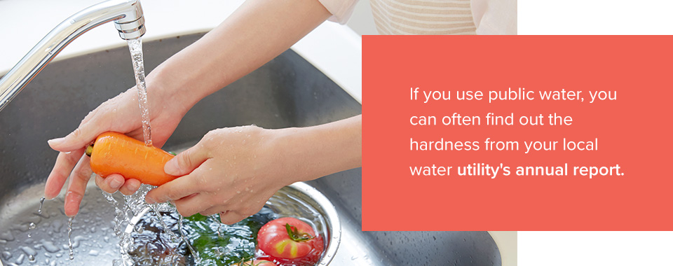 Woman washing fruit and vegetables in sink